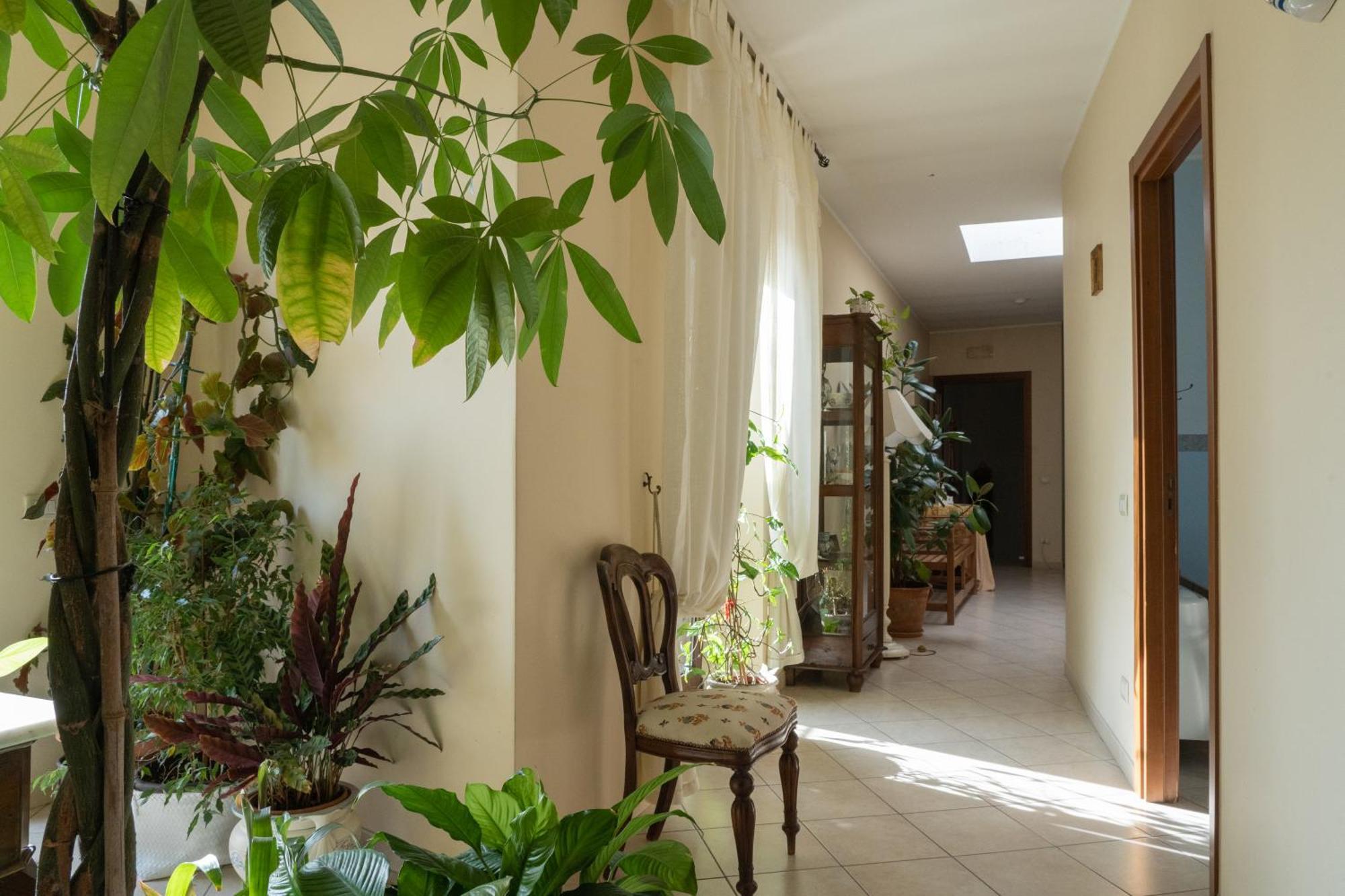 B&B Iris Laterza Exterior foto